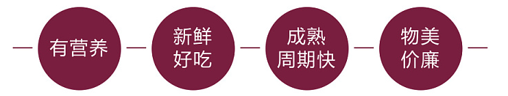 企業(yè)網(wǎng)站建設(shè),H5網(wǎng)站